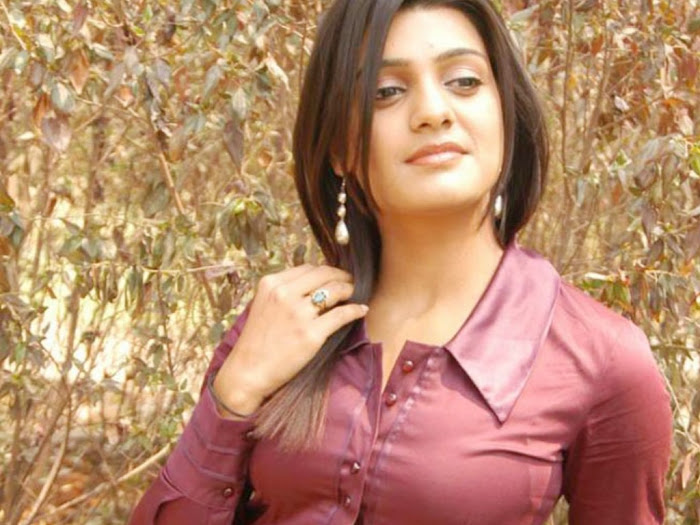 tashu kowshik new tolly shoot actress pics